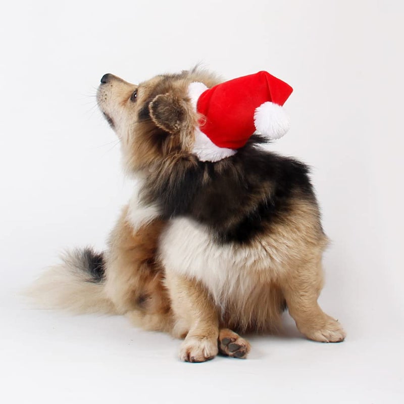 Wiz BBQT Adjustable 3D Christmas Santa Hat for Dogs Cats (Small) - Image 3